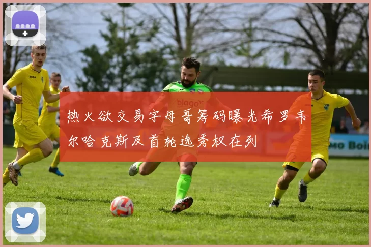 热火欲交易字母哥筹码曝光希罗韦尔哈克斯及首轮选秀权在列
